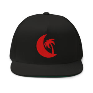 AZNE Logo Snapback